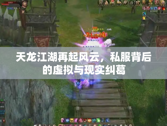 天龙江湖再起风云，私服背后的虚拟与现实纠葛