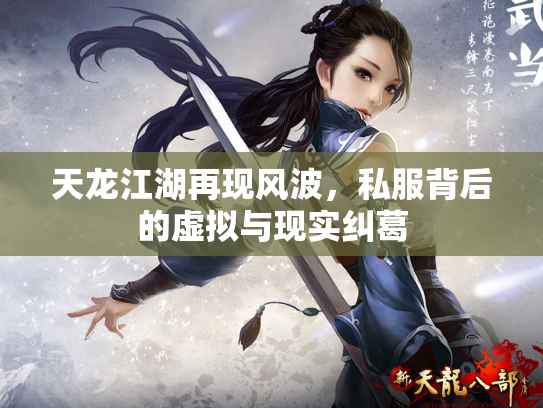 天龙江湖再现风波，私服背后的虚拟与现实纠葛