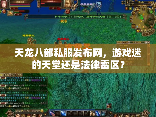 天龙八部私服发布网，游戏迷的天堂还是法律雷区？