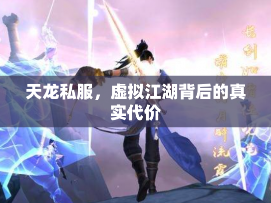 天龙私服，虚拟江湖背后的真实代价
