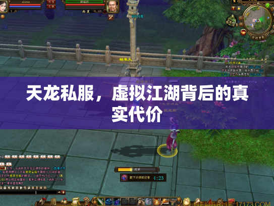 天龙私服，虚拟江湖背后的真实代价