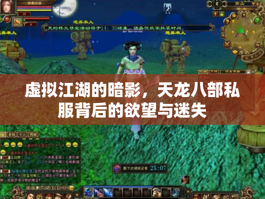 虚拟江湖的暗影，天龙八部私服背后的欲望与迷失