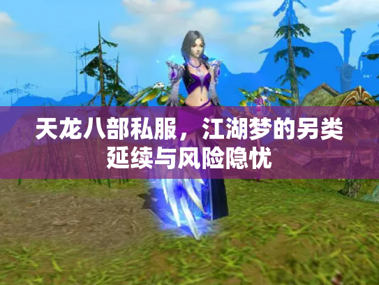 天龙八部私服，江湖梦的另类延续与风险隐忧