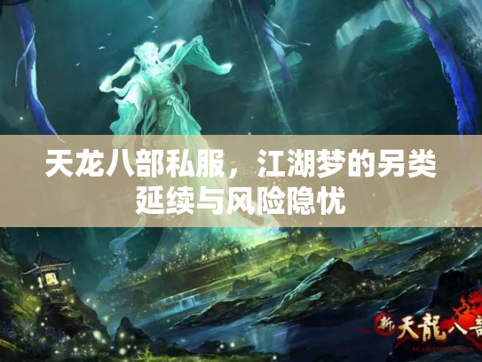 天龙八部私服，江湖梦的另类延续与风险隐忧