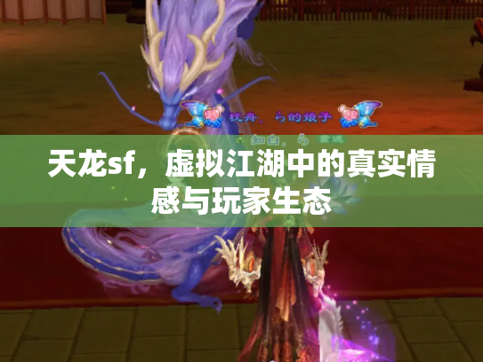 天龙sf，虚拟江湖中的真实情感与玩家生态
