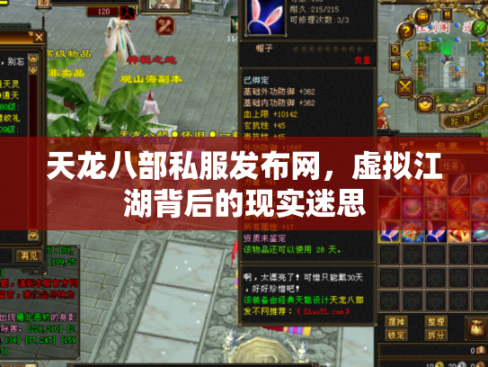 天龙八部私服发布网，虚拟江湖背后的现实迷思