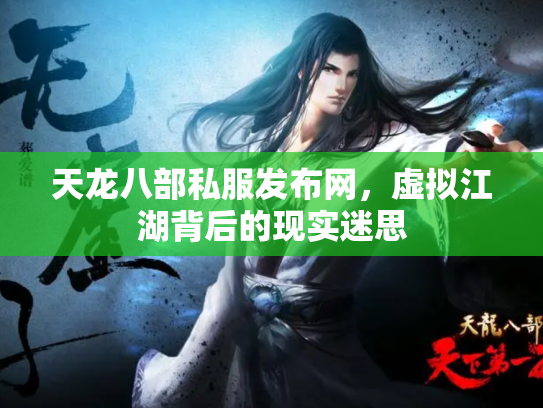 天龙八部私服发布网，虚拟江湖背后的现实迷思