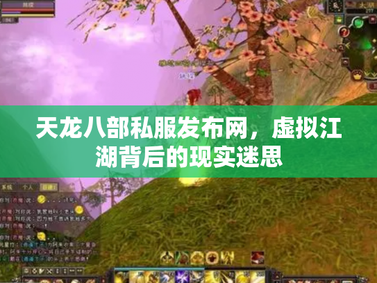 天龙八部私服发布网，虚拟江湖背后的现实迷思