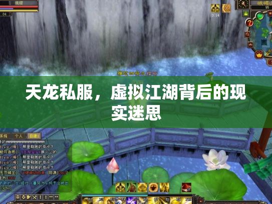天龙私服，虚拟江湖背后的现实迷思