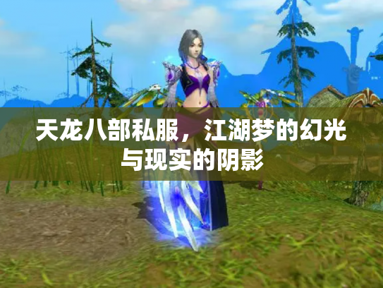天龙八部私服，江湖梦的幻光与现实的阴影