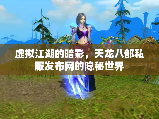 虚拟江湖的暗影，天龙八部私服发布网的隐秘世界
