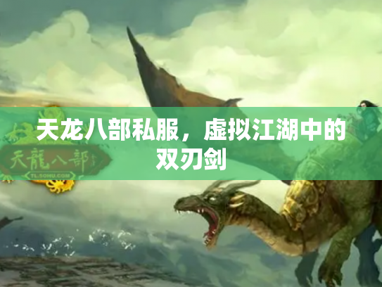 天龙八部私服，虚拟江湖中的双刃剑