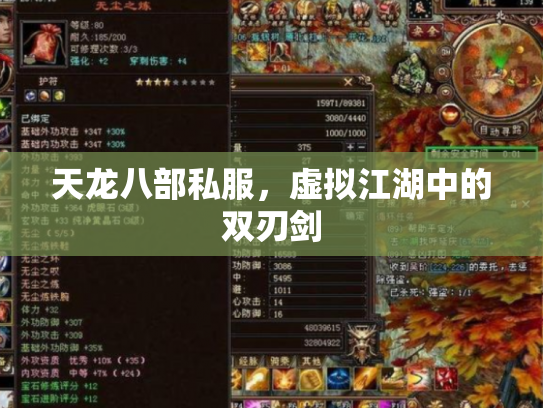 天龙八部私服，虚拟江湖中的双刃剑