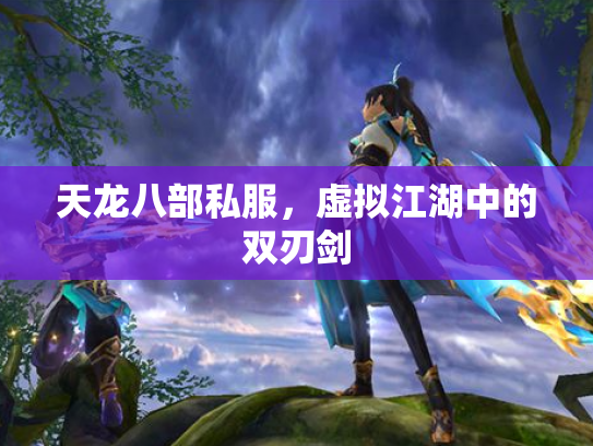 天龙八部私服，虚拟江湖中的双刃剑