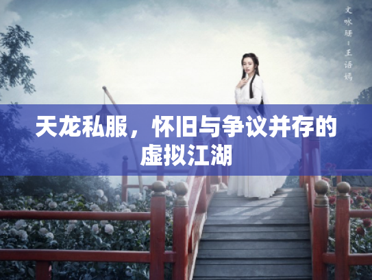 天龙私服，怀旧与争议并存的虚拟江湖