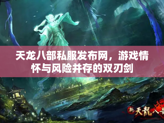 天龙八部私服发布网，游戏情怀与风险并存的双刃剑