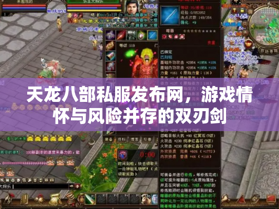 天龙八部私服发布网，游戏情怀与风险并存的双刃剑