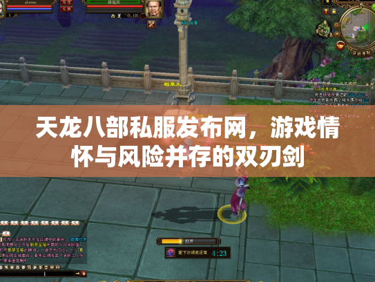 天龙八部私服发布网，游戏情怀与风险并存的双刃剑