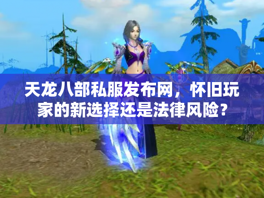 天龙八部私服发布网，怀旧玩家的新选择还是法律风险？
