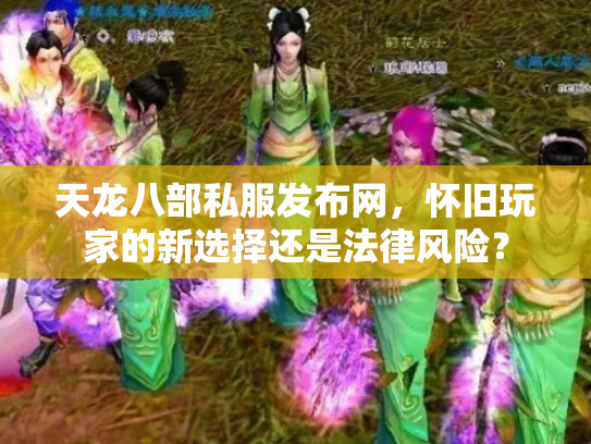 天龙八部私服发布网，怀旧玩家的新选择还是法律风险？
