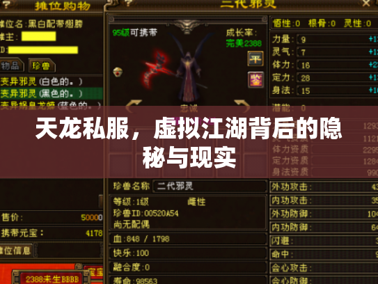 天龙私服，虚拟江湖背后的隐秘与现实