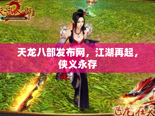 天龙八部发布网，江湖再起，侠义永存