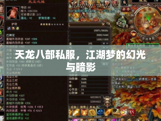 天龙八部私服，江湖梦的幻光与暗影