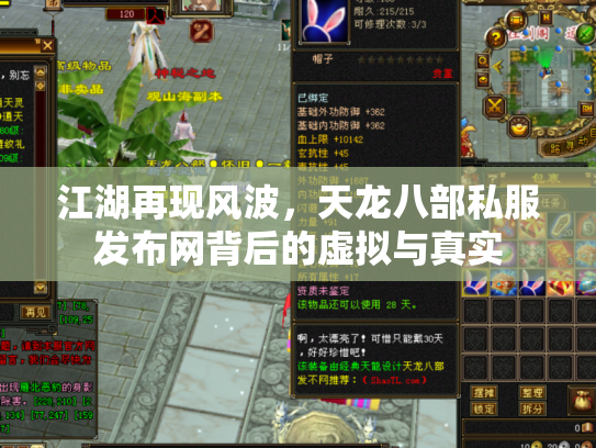 江湖再现风波，天龙八部私服发布网背后的虚拟与真实
