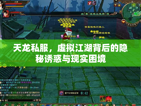 天龙私服，虚拟江湖背后的隐秘诱惑与现实困境