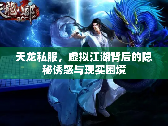 天龙私服，虚拟江湖背后的隐秘诱惑与现实困境