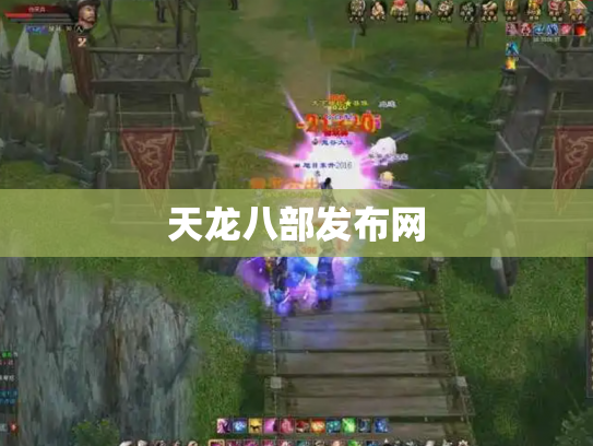 天龙八部发布网
