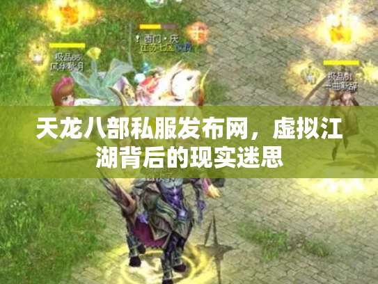 天龙八部私服发布网，虚拟江湖背后的现实迷思