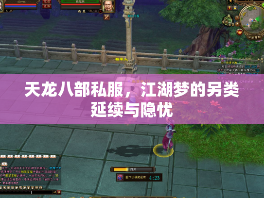 天龙八部私服，江湖梦的另类延续与隐忧