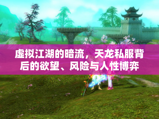 虚拟江湖的暗流，天龙私服背后的欲望、风险与人性博弈