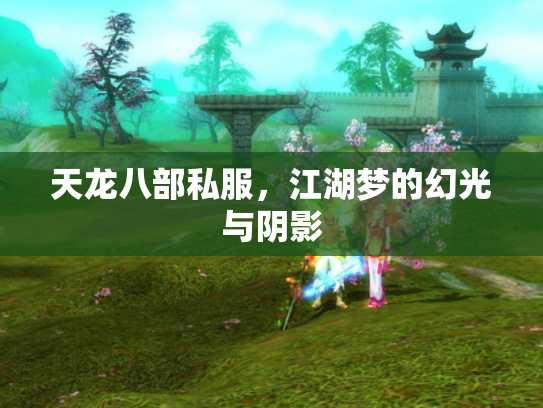 天龙八部私服，江湖梦的幻光与阴影