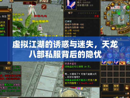 虚拟江湖的诱惑与迷失，天龙八部私服背后的隐忧