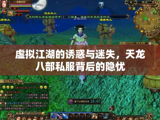 虚拟江湖的诱惑与迷失，天龙八部私服背后的隐忧