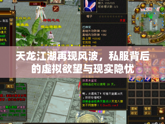 天龙江湖再现风波，私服背后的虚拟欲望与现实隐忧