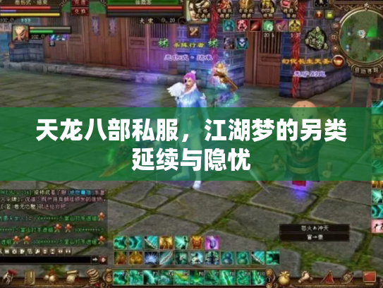 天龙八部私服，江湖梦的另类延续与隐忧