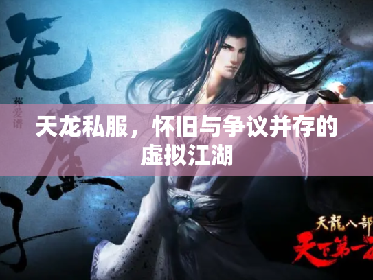 天龙私服，怀旧与争议并存的虚拟江湖