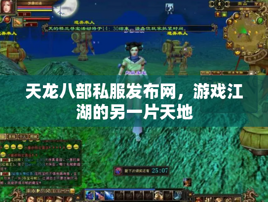 天龙八部私服发布网，游戏江湖的另一片天地