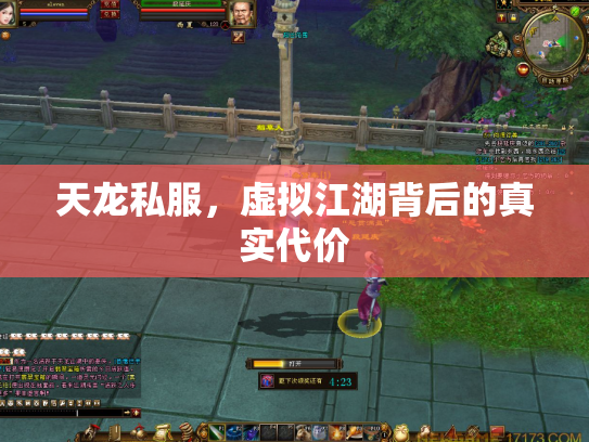 天龙私服，虚拟江湖背后的真实代价