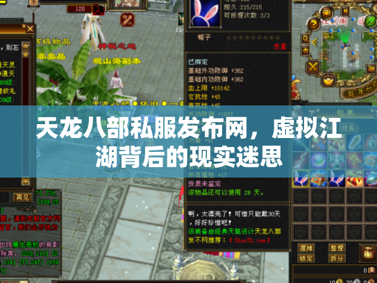 天龙八部私服发布网，虚拟江湖背后的现实迷思