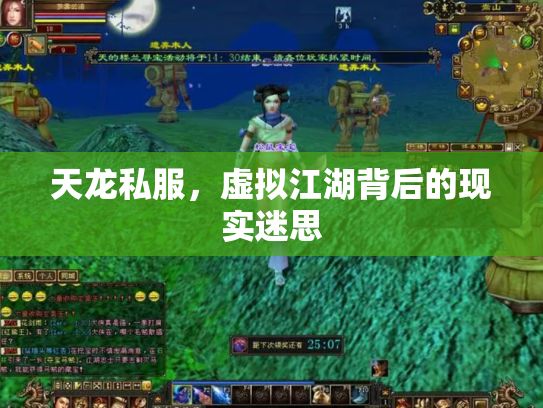 天龙私服，虚拟江湖背后的现实迷思