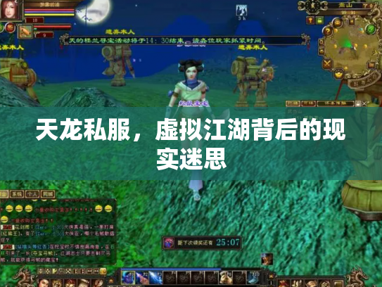 天龙私服，虚拟江湖背后的现实迷思