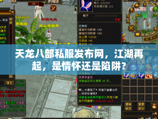 天龙八部私服发布网，江湖再起，是情怀还是陷阱？
