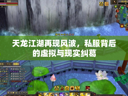天龙江湖再现风波，私服背后的虚拟与现实纠葛