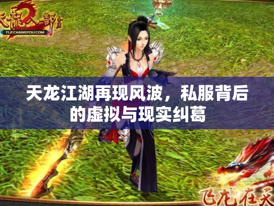 天龙江湖再现风波，私服背后的虚拟与现实纠葛