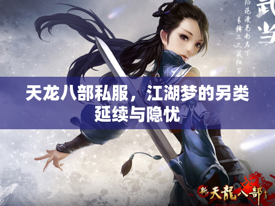天龙八部私服，江湖梦的另类延续与隐忧