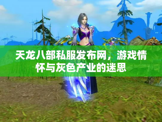 天龙八部私服发布网，游戏情怀与灰色产业的迷思